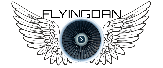 Flyingdan Shop